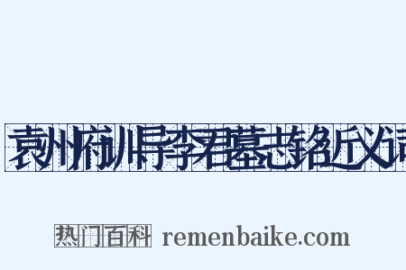 袁州府训导李君墓志铭近义词是什么意思的图片